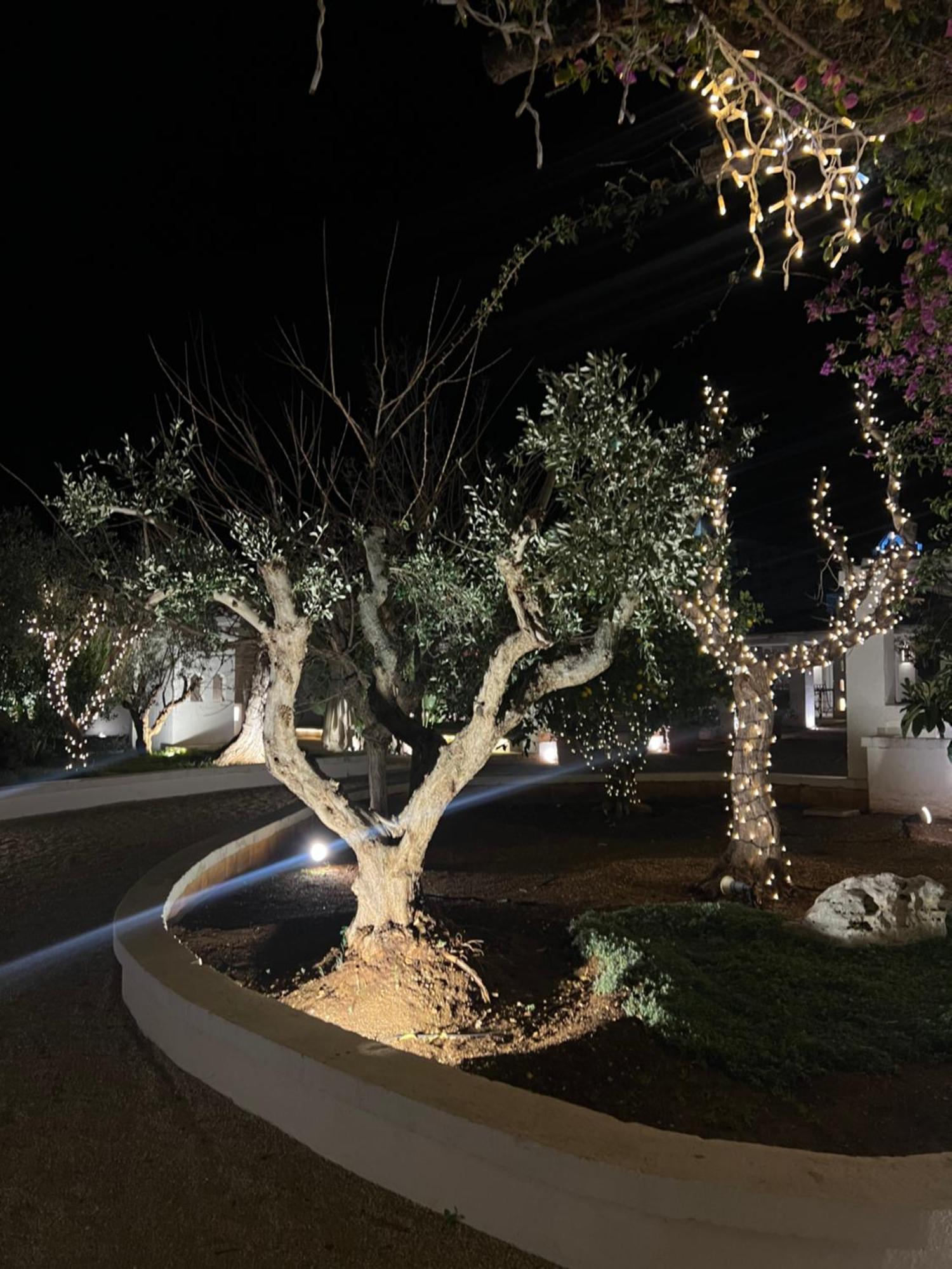 Masseriola Antiche Fogge By Apulia Hospitality Fasano Luaran gambar